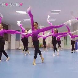 郑口成人跳舞视频播放网站,网络平台上的动感时光